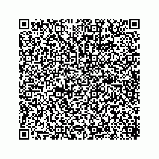 vCard 78619668002