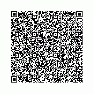 vCard 78619668007