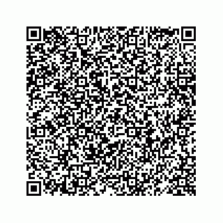 vCard 78619668009