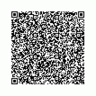 vCard 78619668027