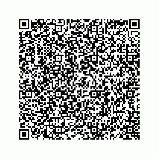 vCard 78619668029