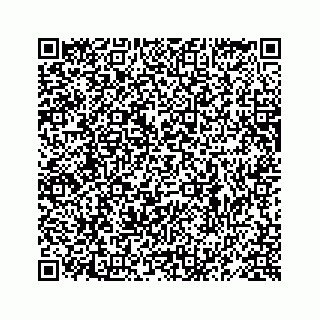 vCard 78619668033