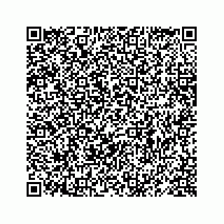 vCard 78619668037