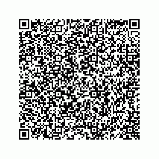 vCard 78619668065