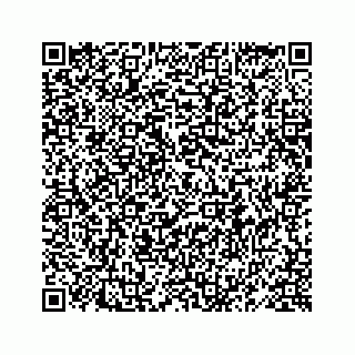 vCard 78619668080