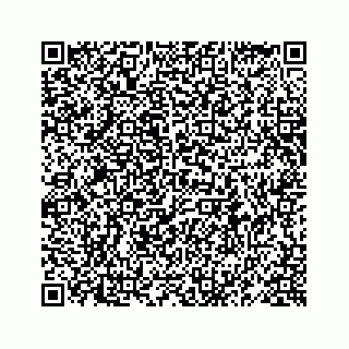 vCard 78619668081