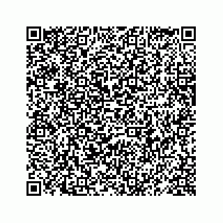 vCard 78619668083