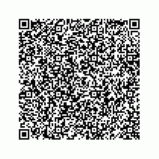 vCard 78619668085