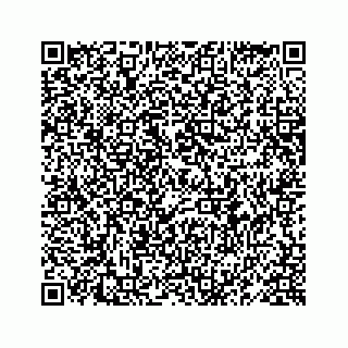 vCard 78619668087
