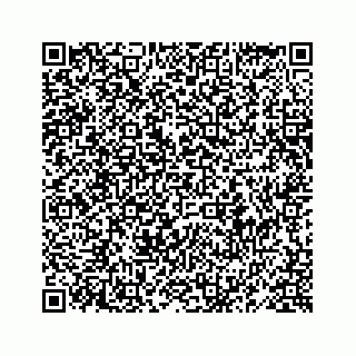 vCard 78619668099