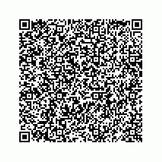 vCard 78619668100