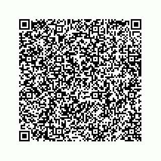 vCard 78619668103