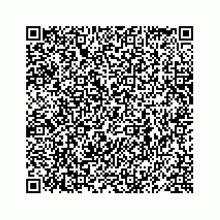 vCard 78619668121