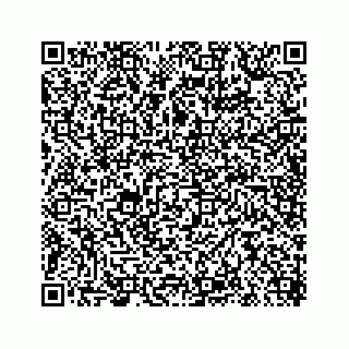 vCard 78619668131