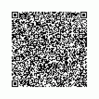 vCard 78619668173