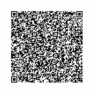 vCard 78619668221