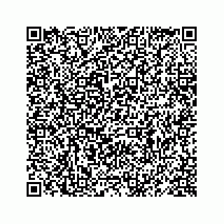 vCard 78619668234