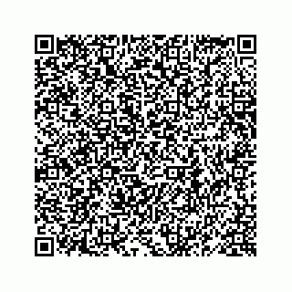 vCard 78619668241