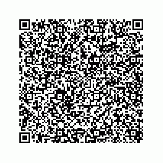 vCard 78619668253
