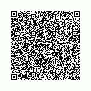 vCard 78619668277