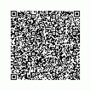 vCard 78619668287