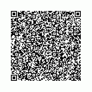 vCard 78619668288