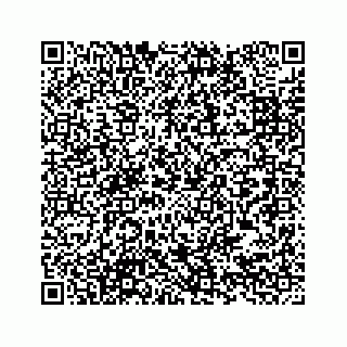 vCard 78619668295