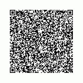 vCard 78619668297