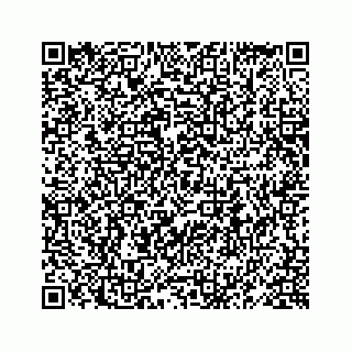 vCard 78619668300