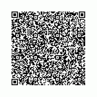 vCard 78619668313