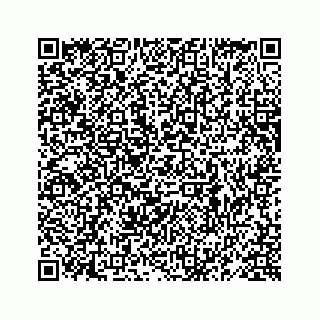 vCard 78619668333