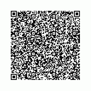 vCard 78619668353