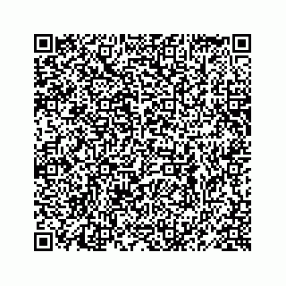 vCard 78619668371