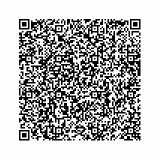 vCard 78619668373