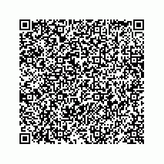 vCard 78619668381