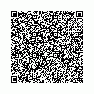 vCard 78619668384
