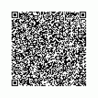 vCard 78619668387