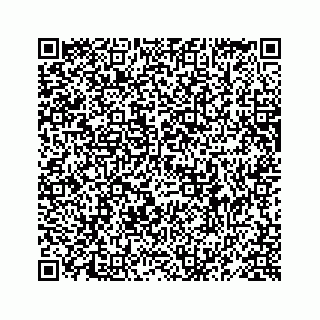 vCard 78619668393