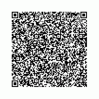 vCard 78619668413