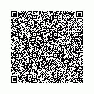 vCard 78619668483