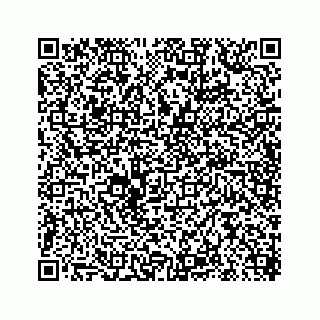 vCard 78619668533