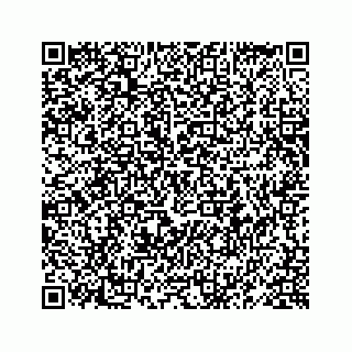 vCard 78619668581