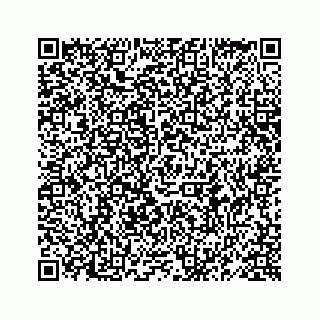 vCard 78619668585
