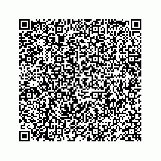 vCard 78619668595