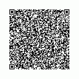vCard 78619668631