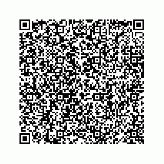 vCard 78619668652