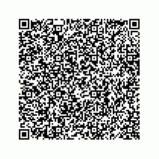 vCard 78619668667