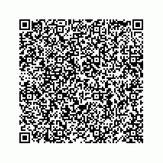 vCard 78619668729
