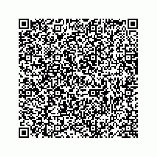 vCard 78619668733