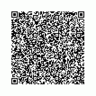 vCard 78619668734